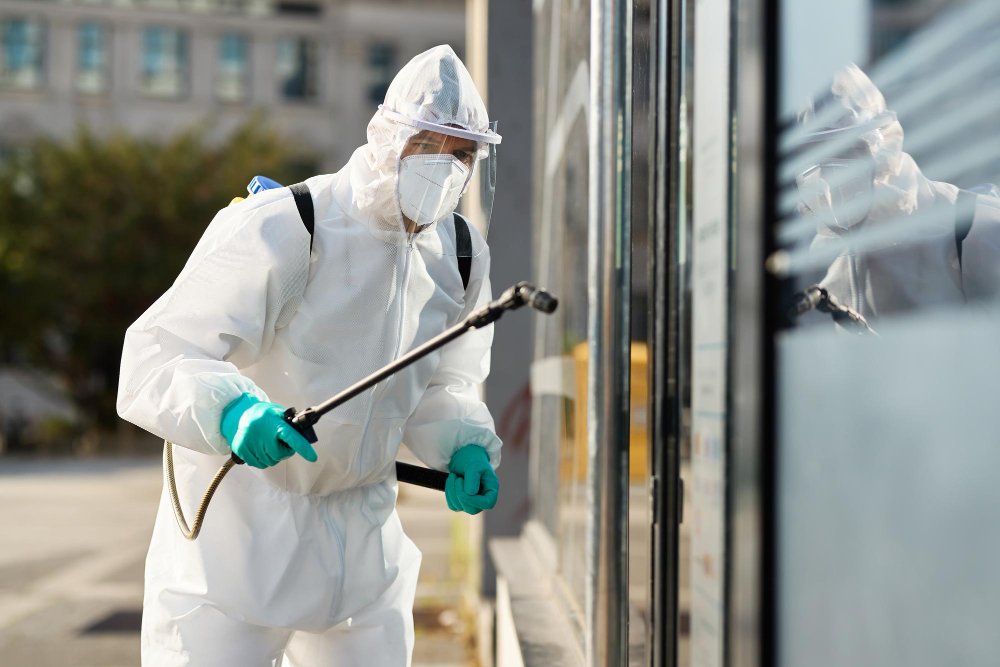 Pest Control Coorparoo